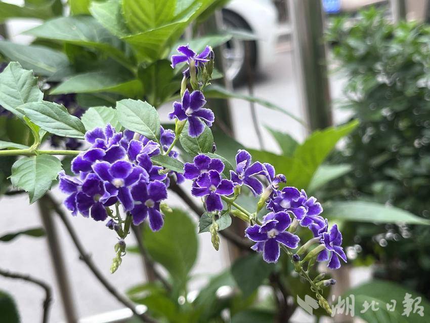 白菜网送彩金您